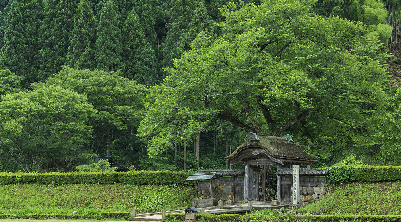 第47回全国育樹祭 in ふくい（福井県）