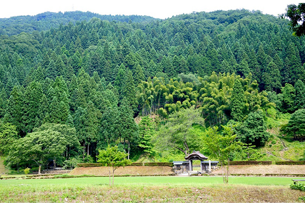 一乗谷朝倉氏遺跡